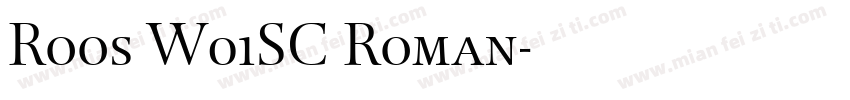 Roos W01SC Roman字体转换